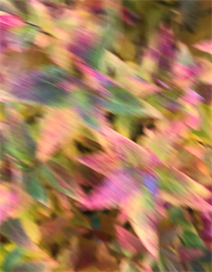 ПР 752.png